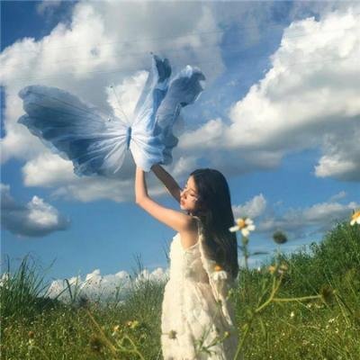 海豚的故事2